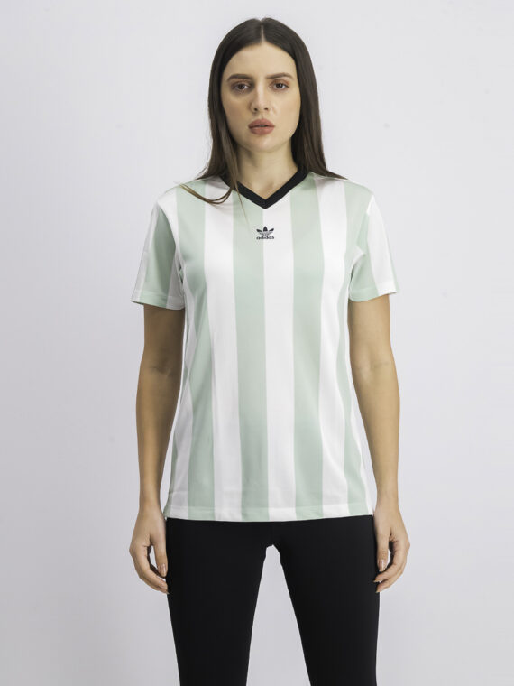 Womens Stripe Print V Neck T-shirt White/Ash Green