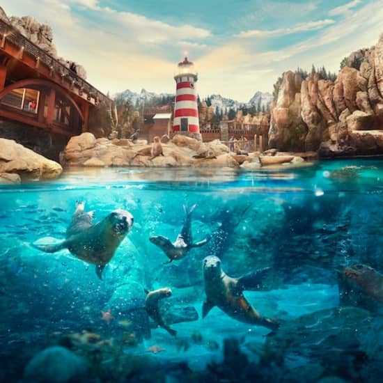 SeaWorld Abu Dhabi at SeaWorld Yas Island, Abu Dhabi, Abu Dhabi, United Arab Emirates Activities Shop Online at Special Price from Oman Mega Deals