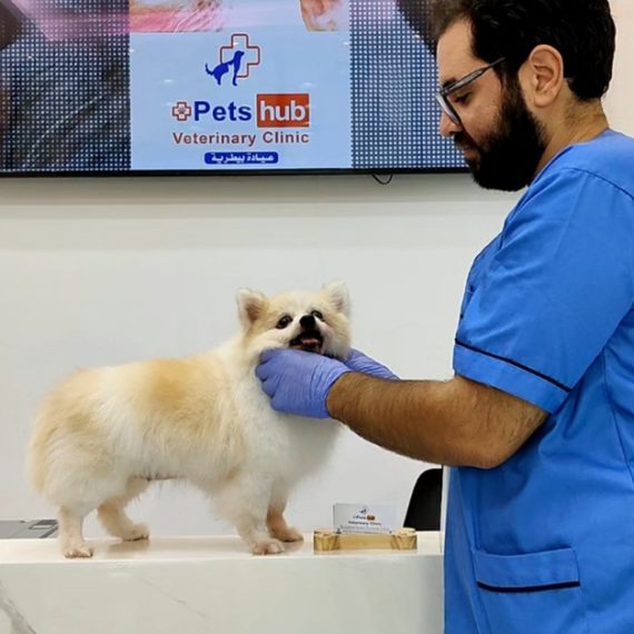 Annual Vaccination Or Full Dental Scaling For Cats & Dogs PETS Shop Online at Special Price from Oman Mega Deals