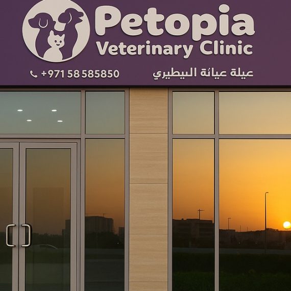 Comprehensive Pet Grooming For Cats And Dogs Up To 40 Kg PETS Shop Online at Special Price from Oman Mega Deals