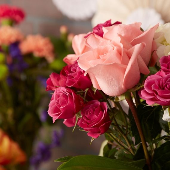 Rose Bouquet Delivery Swim Shop Online at Special Price from Oman Mega Deals