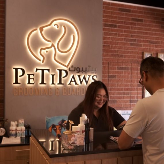 Small/Medium/Large Dog Basic Or Dry Grooming For Cat PETS Shop Online at Special Price from Oman Mega Deals