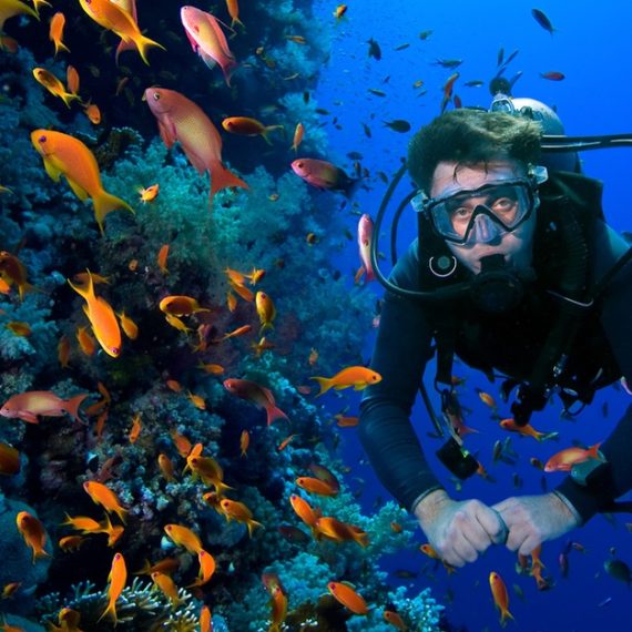 Snorkeling Or Scuba Diving Experience At Al Boom Diving WATER SPORTS Shop Online at Special Price from Oman Mega Deals