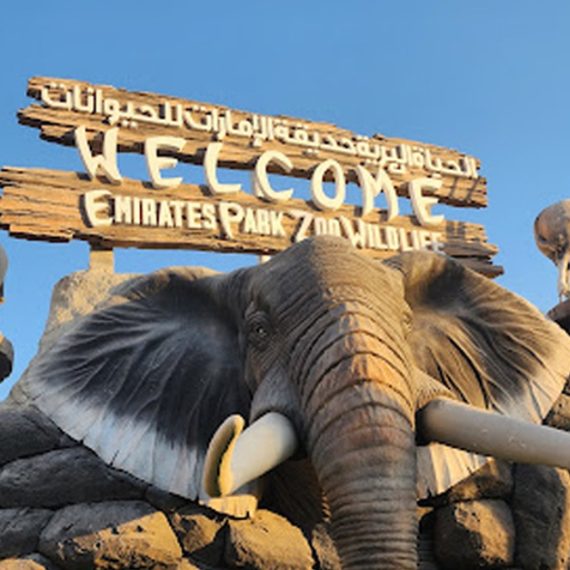Unleash Adventure: Zoo Entrance + 2 Exciting Activities For 1 Or 2! Swim Shop Online at Special Price from Oman Mega Deals