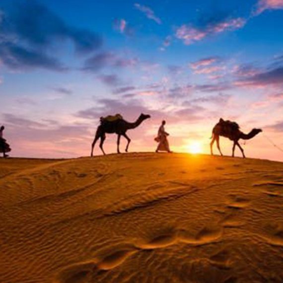 Premium Desert Safari With Vip Transfer, Food, And Live Shows MOTOR SPORTS Shop Online at Special Price from Oman Mega Deals