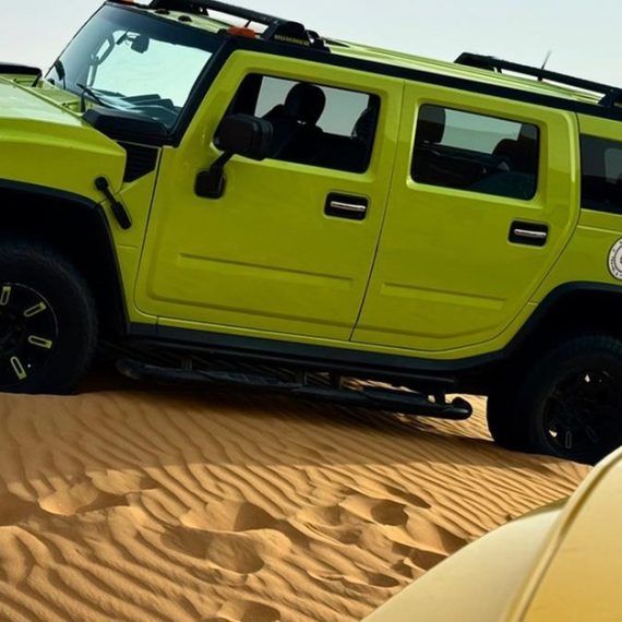 Tour – Guided Swim Shop Online at Special Price from Oman Mega Deals