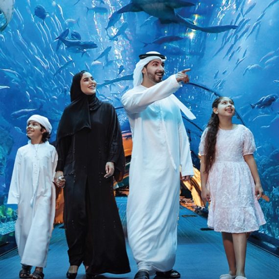 Buy Dubai Aquarium And Dubai Frame Entry Tickets For 1, 2 Or 4 Adults Now at Special Price in OmanMegaDeals.com Dubai Aquarium And Dubai Frame Entry Tickets For 1, 2 Or 4 Adults PARKS Shop Online at Special Price from Oman Mega Deals
