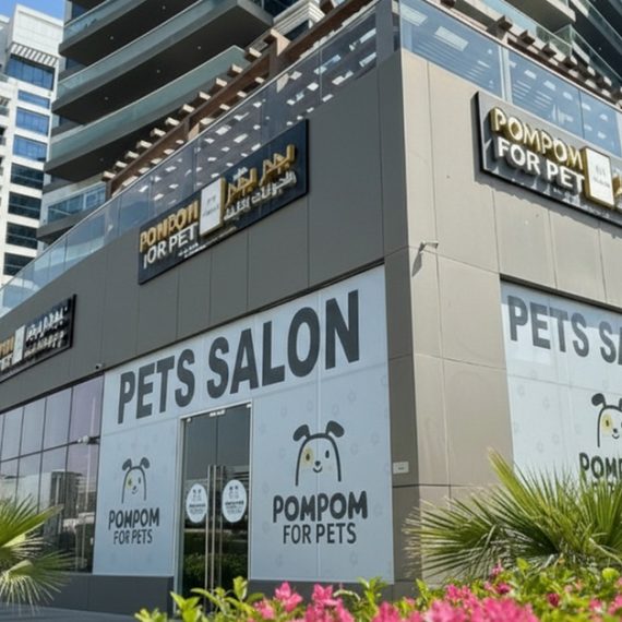 Full Grooming For Cats & Dogs – Small To Xl Breeds PETS Shop Online at Special Price from Oman Mega Deals