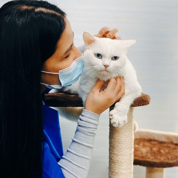Buy Pet Grooming & Vaccine Care (Consultation, Pch/Dhppi, And Deworming) Now at Special Price in OmanMegaDeals.com Pet Grooming & Vaccine Care (Consultation, Pch/Dhppi, And Deworming) PETS Shop Online at Special Price from Oman Mega Deals
