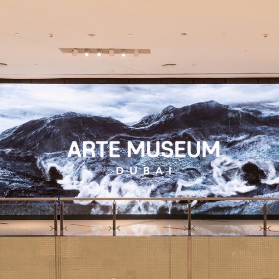 Experience Art Brought To Life Through Light And Sound Culture Shop Online at Special Price from Oman Mega Deals