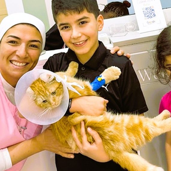 Cat Or Dog Consultation, Deworming, And Optional Annual Vaccine PETS Shop Online at Special Price from Oman Mega Deals