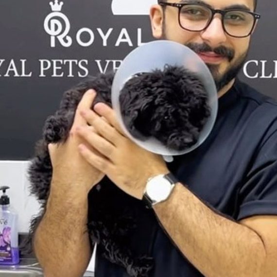 Dog Cat Medical Check Up W Optional Deworming Or Annual Vaccination PETS Shop Online at Special Price from Oman Mega Deals