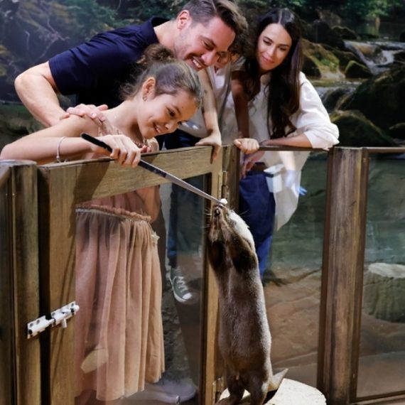 Double The Fun: Dubai Aquarium W Penguin Cove + Choice Of Attraction Swim Shop Online at Special Price from Oman Mega Deals
