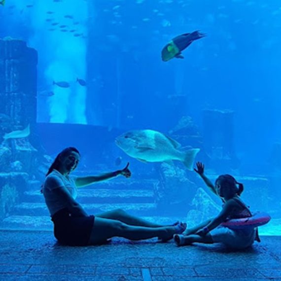 Explore Dubai’s Lost Chambers Aquarium: Tickets For One, Two, Or Four Swim Shop Online at Special Price from Oman Mega Deals