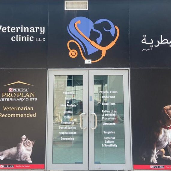Pet – Grooming Salon PETS Shop Online at Special Price from Oman Mega Deals