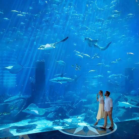Skip the Line: Lost Chambers Entry at Atlantis The Palm Ticket at The Lost Chambers Aquarium, Dubai, United Arab Emirates Activities Shop Online at Special Price from Oman Mega Deals
