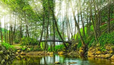 Daily Sapanca and Masukiye Tour: Full-Day Trip From Istanbul – Sightseeing and Tours