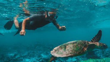 Dive & Snorkel Trips in Fujairah – Water Sports
