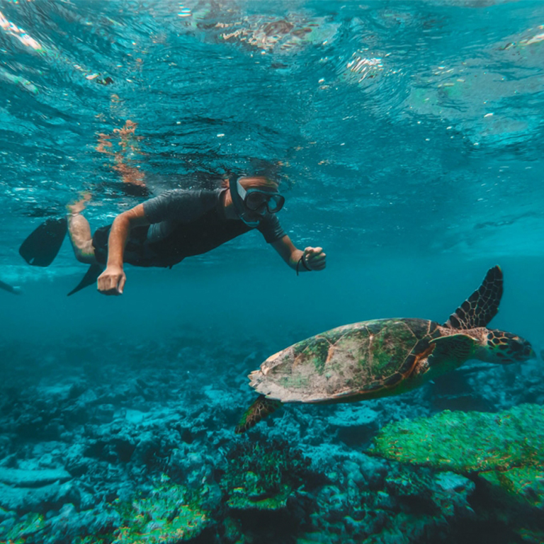Dive & Snorkel Trips in Fujairah – Water Sports