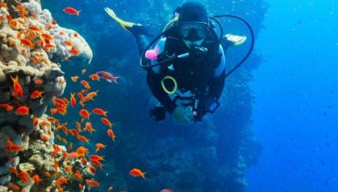 Diving Experience in Khasab – Outdoor Attractions