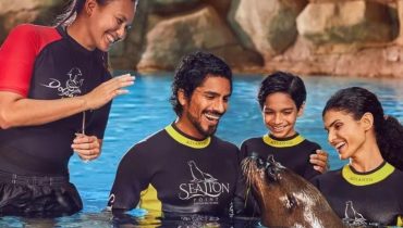 Dolphin Bay Experiences – Water Parks