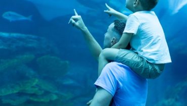 Dubai Aquarium & Underwater Zoo – Ray Encounter – Experiences