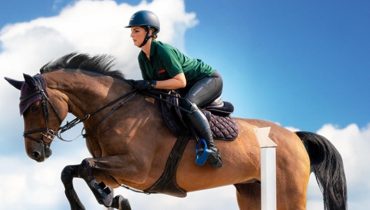 Equestrian Horse Ride at Al Forsan – Recently Added Experiences