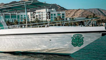 Exclusive Boating Experience – Dolphins Watching – Sightseeing and Tours