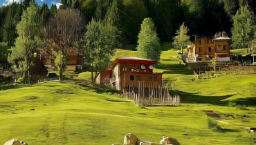 Full Day Ayder Tour From Trabzon – Sightseeing and Tours