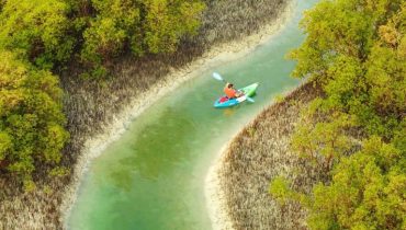 Guided Kayak Tour in the Reem Central Park Mangroves – Water Sports