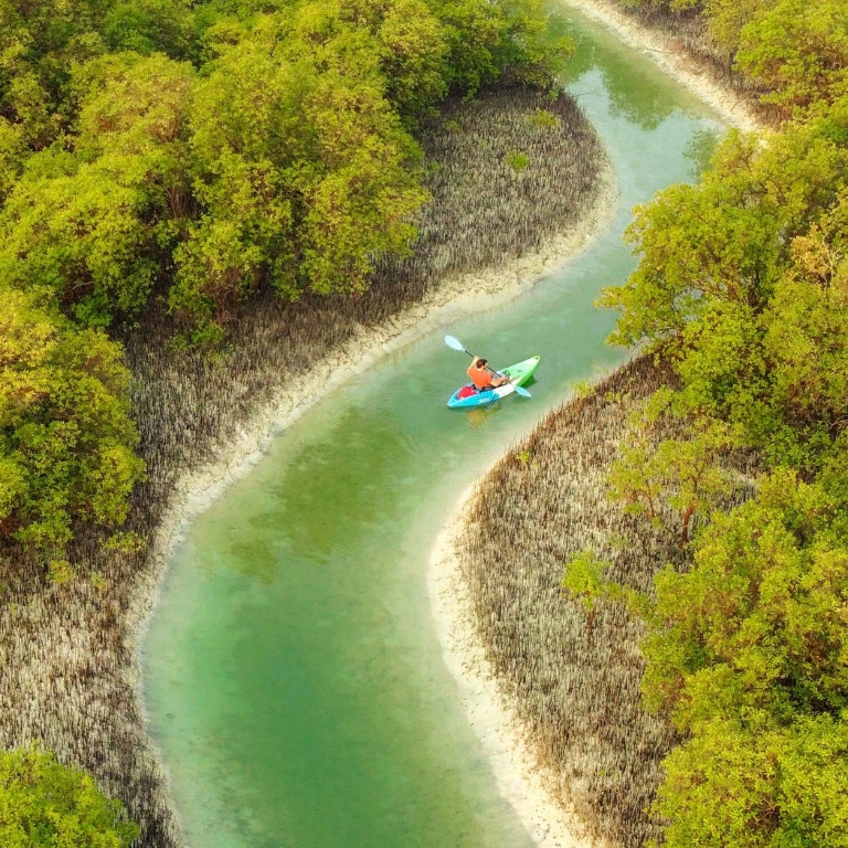 Guided Kayak Tour in the Reem Central Park Mangroves – Water Sports