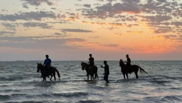 Horse Riding in Jeddah – Experiences