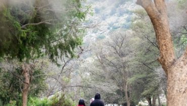 In Hike to the Ain Jamal Waterfall – Recently Added Experiences