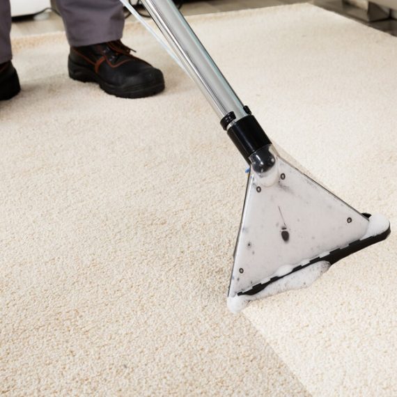 Buy Keep Your Home Spotless With Carpet Cleaning Up To 15 Square Metres Now at Special Price in OmanMegaDeals.com Keep Your Home Spotless With Carpet Cleaning Up To 15 Square Metres Swim Shop Online at Special Price from Oman Mega Deals