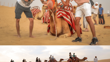 Morning Desert Safari Dubai with Dune Bashing, Sand Boarding & Camel Ride – Desert safaris