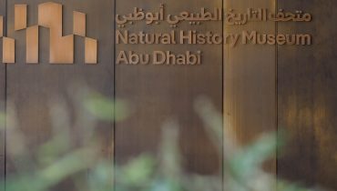 Natural History Museum Abu Dhabi (anyone under 18 years go free) – Museums