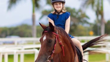 Pony Ride at Al Forsan – Experiences
