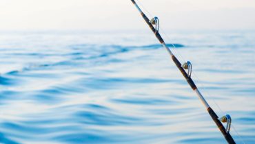 Private fishing boat tour – Sightseeing and Tours
