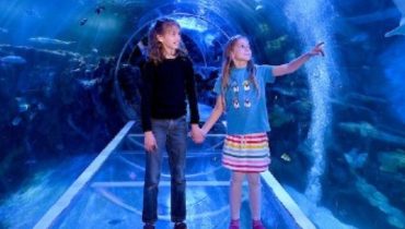 SEA LIFE Birmingham – Indoor Attractions