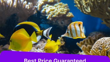 SEA LIFE London Aquarium – Entry Ticket – Top-Rated Attractions