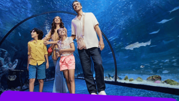 SeaWorld® Yas Island, Abu Dhabi – Experiences