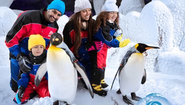 Ski Dubai: Snow Premium with Penguin Encounter – Must-see attractions