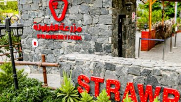 Strawberry Farm – Top-Rated Attractions