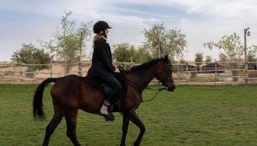 Sunset Horse Riding at Al Marmoom Oasis with a 6-Course Bedouin Dinner – Outdoor Attractions