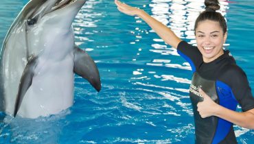 Swimming With Dolphins – Dubai Dolphinarium – Dubai Dolphinarium
