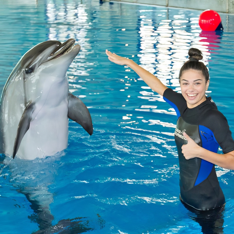 Swimming With Dolphins – Dubai Dolphinarium – Dubai Dolphinarium