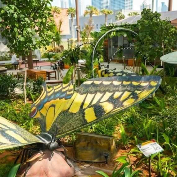 The Green Planet Dubai Tickets – Indoor Rainforest Experience Swim Shop Online at Special Price from Oman Mega Deals