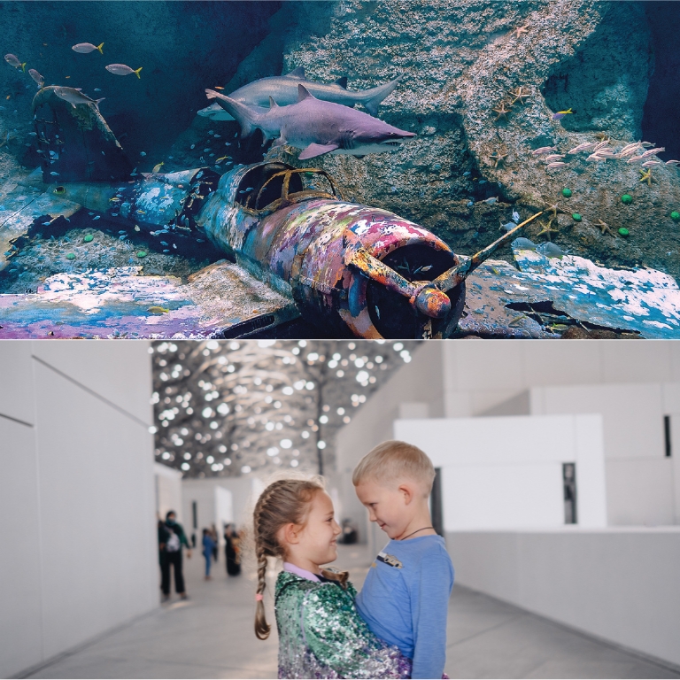 The National Aquarium + Louvre Abu Dhabi – Combo – Combos and more adventures