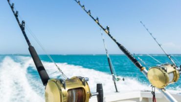 Trolling in Ocean for Big Fish – Top-Rated Attractions