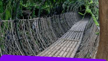 Tropical Land – Top-Rated Attractions